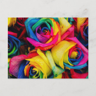 Rose Rainbow Postcard
