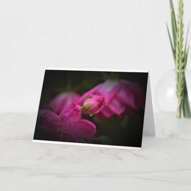 Rose & Raindrops, card (Front)