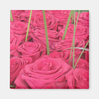 ROSE RED MAGNET