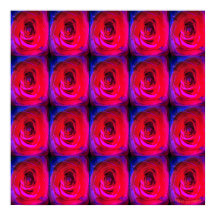 Rose Red Miami, affiche