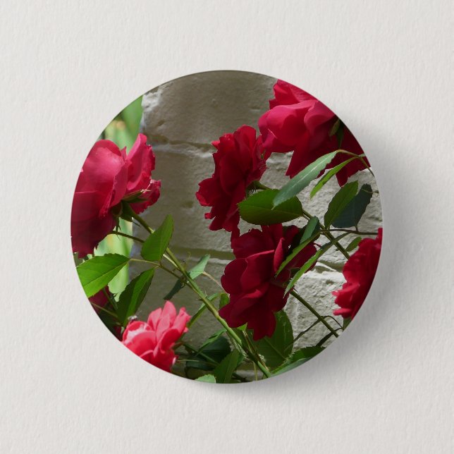 rose,red rose 2 inch round button (Front)