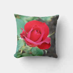 Rose Red  Throw Pillow