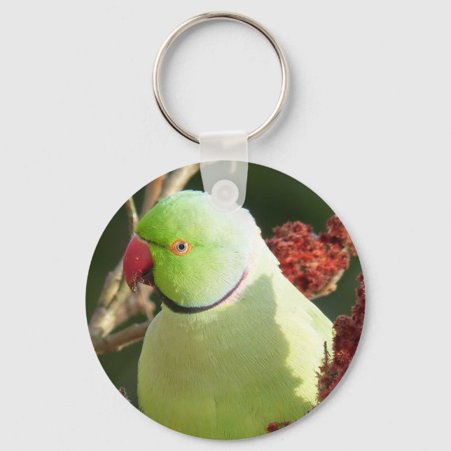 Rose-ringed parakeet keychain (Front)