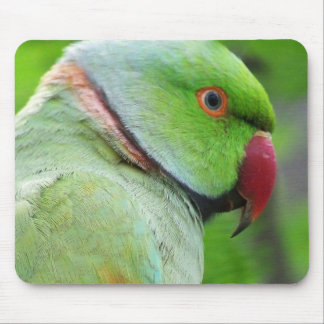Rose-Ringed Parakeet Mousepad