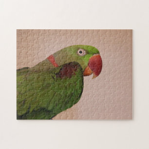 Rose-ringed Parakeet Photo Jigsaw Puzzle Difficult