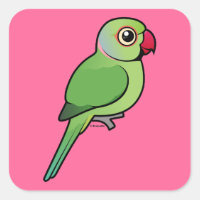 Rose-ringed Parakeet