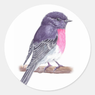 Rose robin classic round sticker