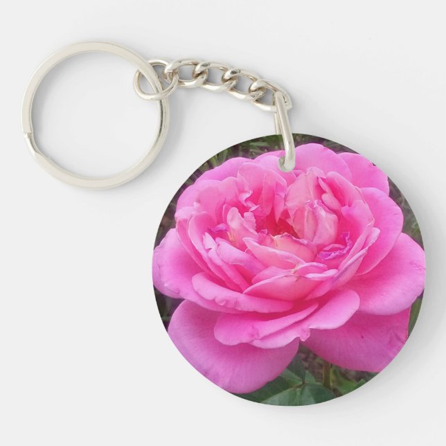 Rose romantique 'Léonard de Vinci' (Devant)