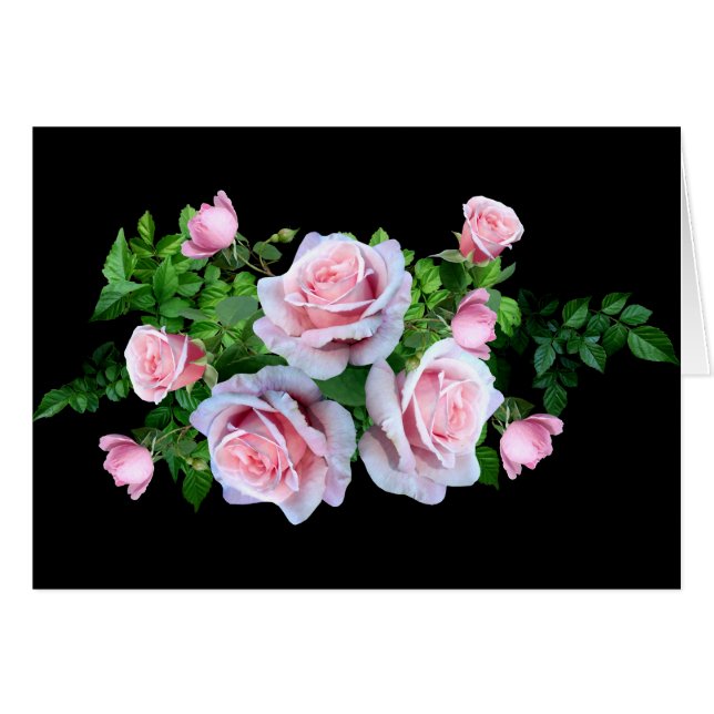 Rose rose (Devant horizontal)