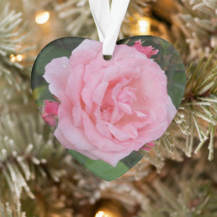 Rose Rose Acrylique Classique