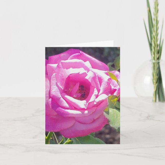 Rose rose avec une carte de voeux personnalisée au (Devant)