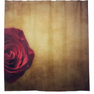 Rose rose bloom abstract romantic