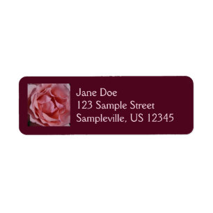 Rose rose II Plutôt Floral