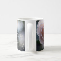 Rose rose recherchent la beauté dans la tasse