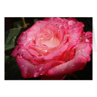 Rose rose rose