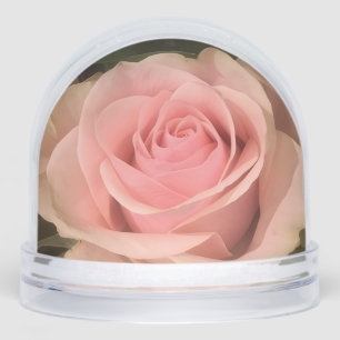 Rose Rose Snow Globe