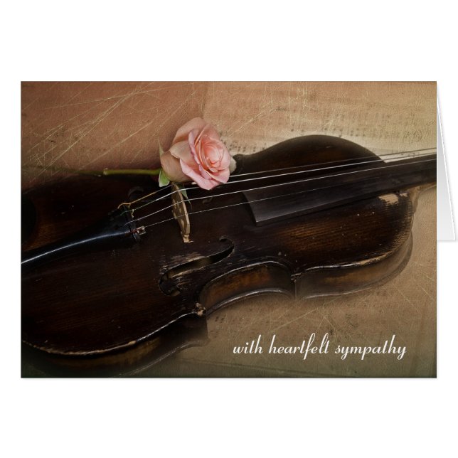 Rose rose sur la sympathie violon (Devant Horizontal)