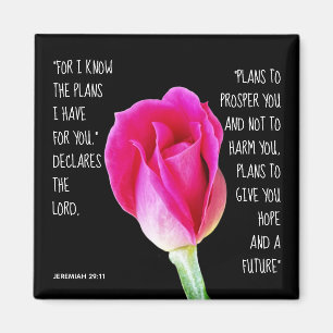 Rose rose, verset de Jérémie 29:11 Magnet