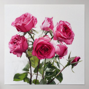 Rose Roses Flower Art Imprimer Poster
