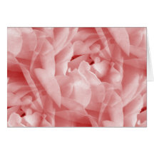 Rose Rosy
