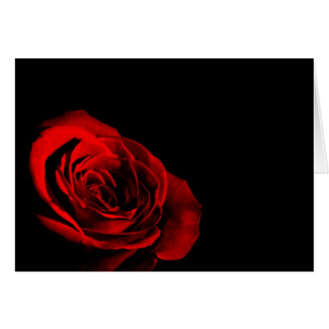 Rose rouge (Devant horizontal)