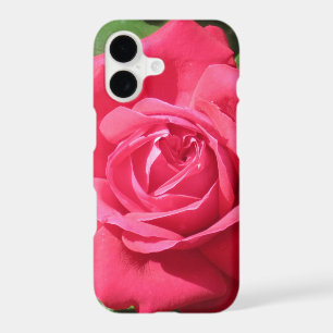 Rose rouge
