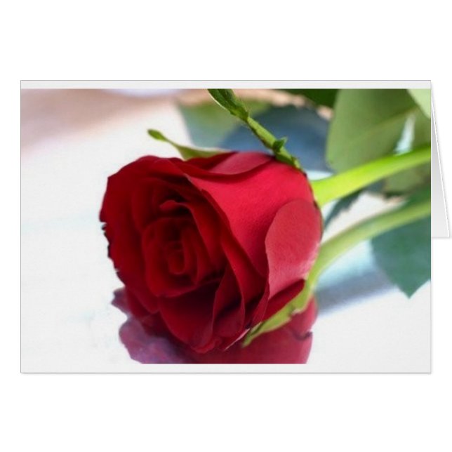 rose rouge (Devant horizontal)