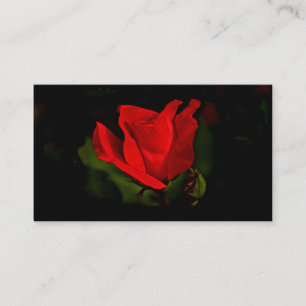 Rose rouge - Carte de visite de la passion noire
