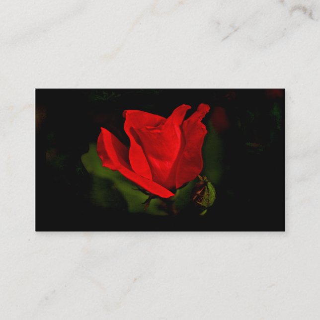 Rose rouge - Carte de visite de la passion noire (Devant)