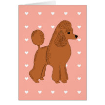 Rose rouge de pêche de caniche avec la carte de