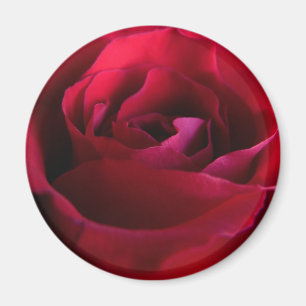 Rose rouge Magnet Rose rose cadeaux Keepsaké Décor