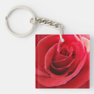 Rose rouge romantique