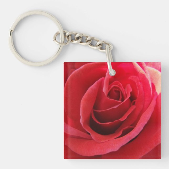 Rose rouge romantique (Devant)