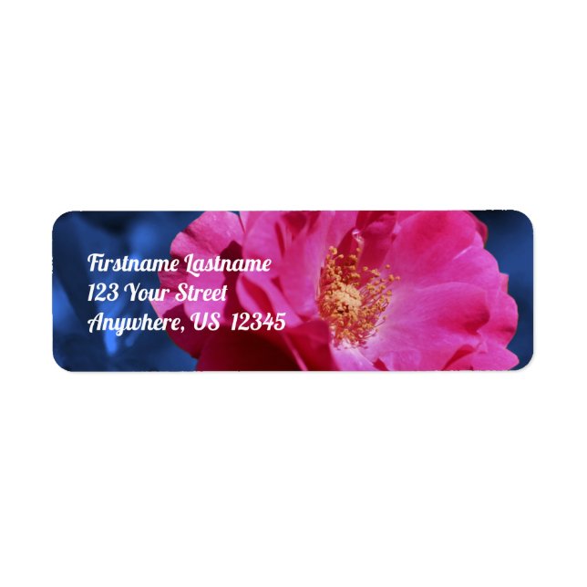 Rose rouge sur Blue Tint Flower Adresse (Devant)