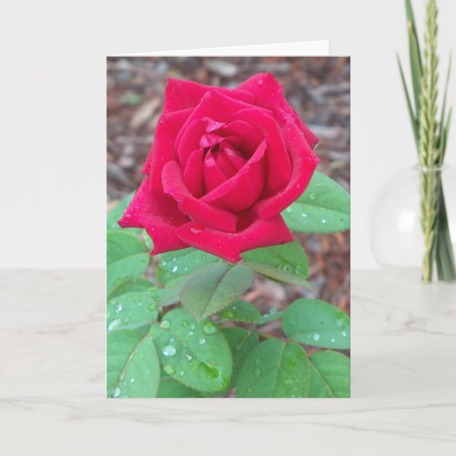 Rose rouge sur un carte pour notes vierge (Devant)