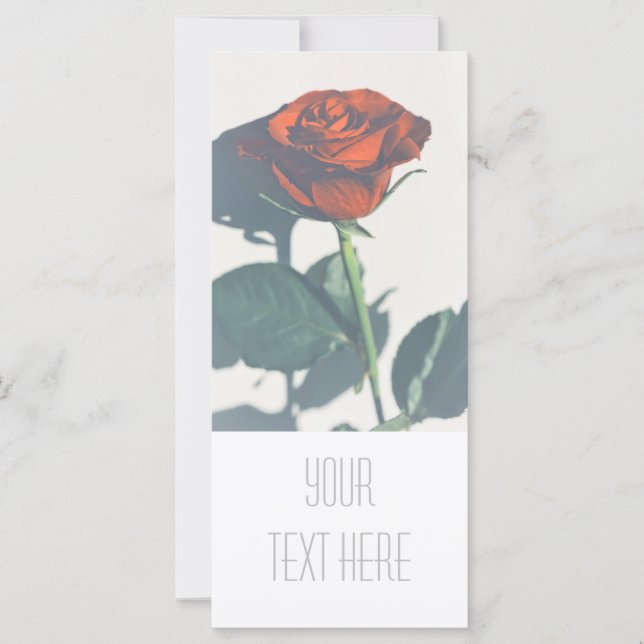 Rose rouge vif Ajouter votre carte à plat texte (Devant)