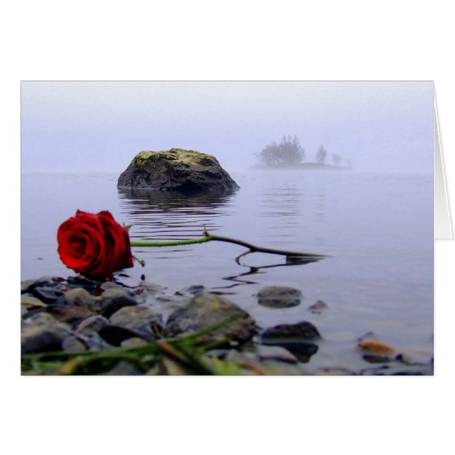 Rose rouge Washed Ashore (Devant horizontal)