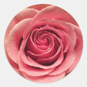 Rose Round Shape Stickers