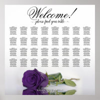 Rose royal violet 32 Tableau Mariage