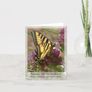 Rose Sage with Tiger Swallowtail - Native Notecard