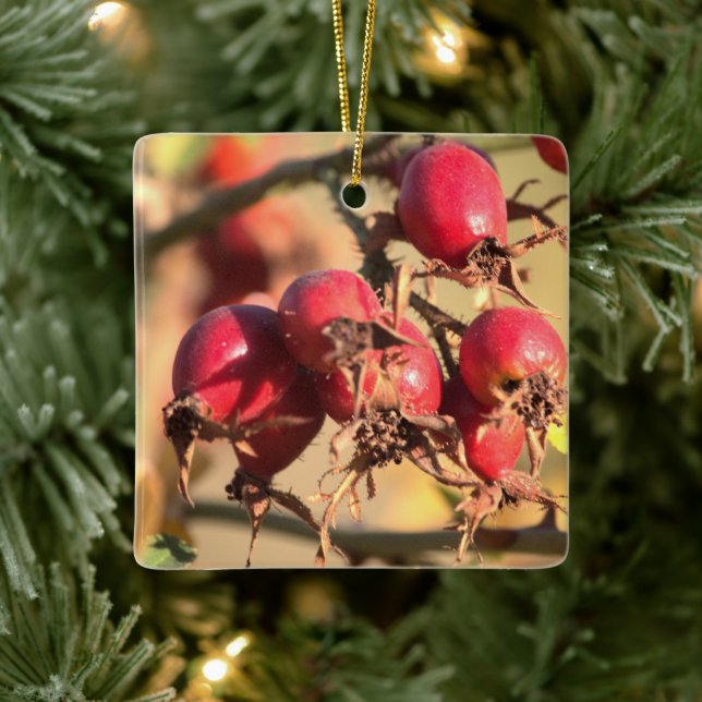 Rose sauvage Hips Ornement de Noël (Arbre)