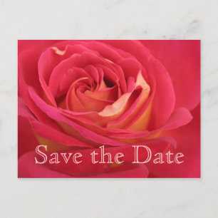 Rose Save the date 45th Birthday Celebration - Announcement Postcard