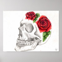 Rose skull drawing