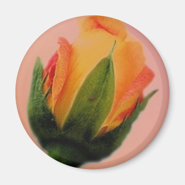 rose small zazzle magnet (Front)