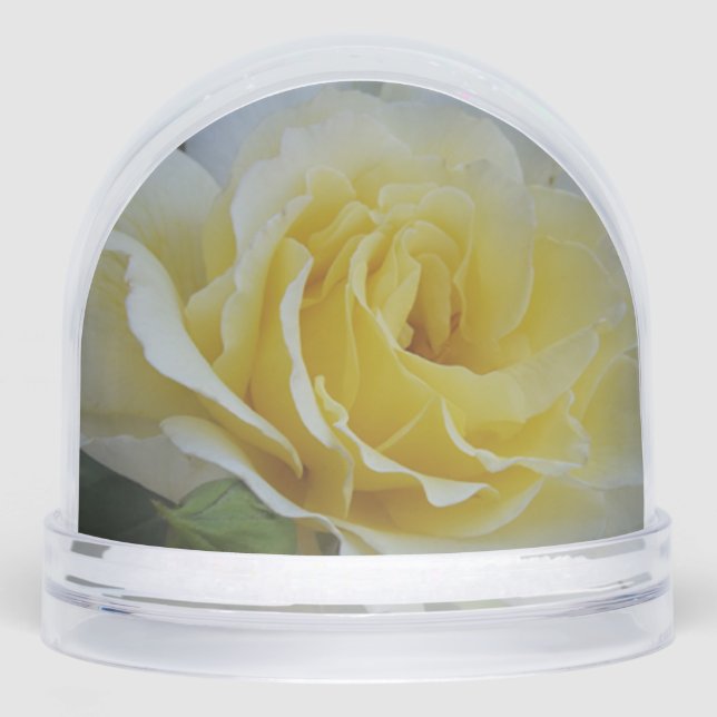 Rose Snow Globe (Front)