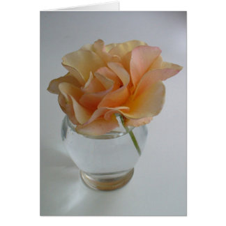 Rose souple