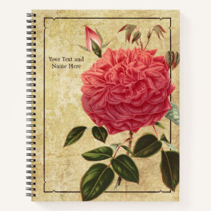 Rose Souvenir de la Malmaison Notebook