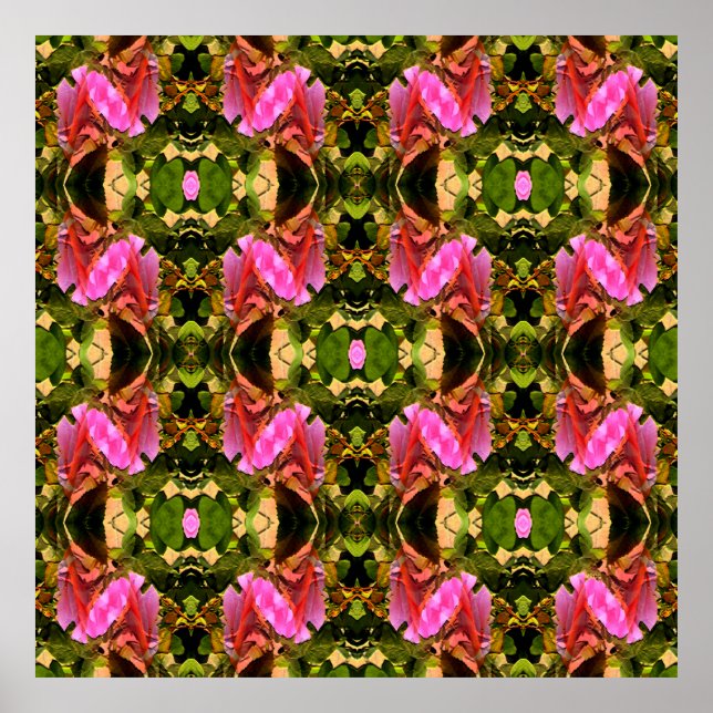 Rose Spectacular...... Poster (Front)