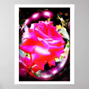 ROSE SPIRITS POSTER