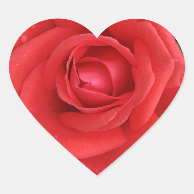 Rose Sticker (Front)